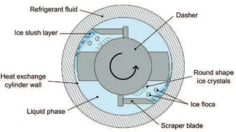 Fig. 2.1. Schematic representation of the ice crystallization mechanism in a SSHE.