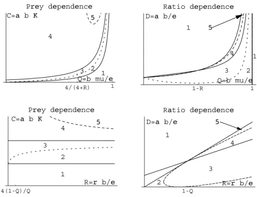 Figure 4.3: Parametric portraits of C versus Q for ﬁxed R (upper left) and of C versus R for ﬁxed Q (lower left) for the prey-dependent model and of D versus