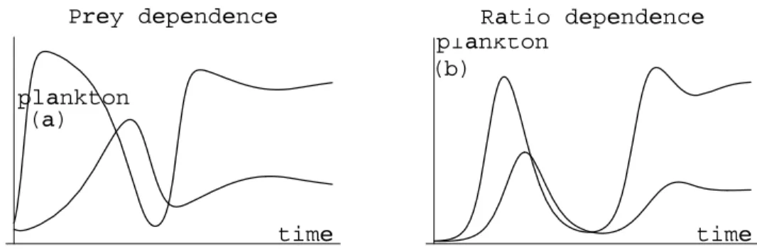 Figure 4.6: Resulting trajectories if the predator death rate µ is increasing during the season