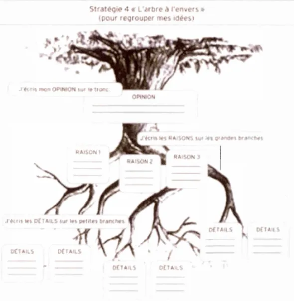 Figure 1.2.  Exemple de schéma tiré du  programme de Cavanagh (2.006) 