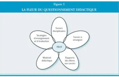 Figure 2.   Questionnement didactique 