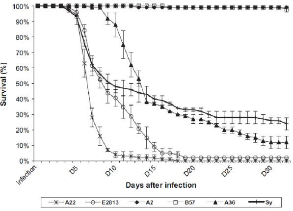 Figure 11 : Courbes de mortalité de certaines lignées isogéniques après infection au VHSV 07-71  (Quillet, Dorson, et al., 2007)