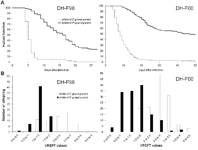Figure 16. Effect of allelic state at OMM5005 marker (RT31) on cumulative survival curves during  infectious challenge and distribution of VREFT values in the two DH families