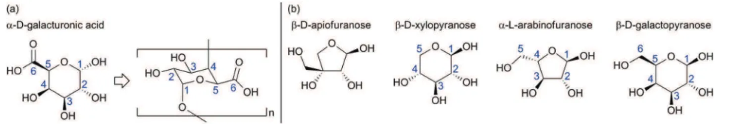 Table 1). 43 Thus, depending on the source of the cellulose