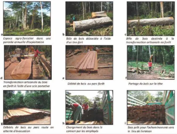 Figure  1.3.  Processus  de  transformation  artisanale  du  bois  dans  les  forêts  communautaires  de  Mourikoualiyé et de Mpewang  (Tiré de Kouna Eloundou, 2012, p.161) 