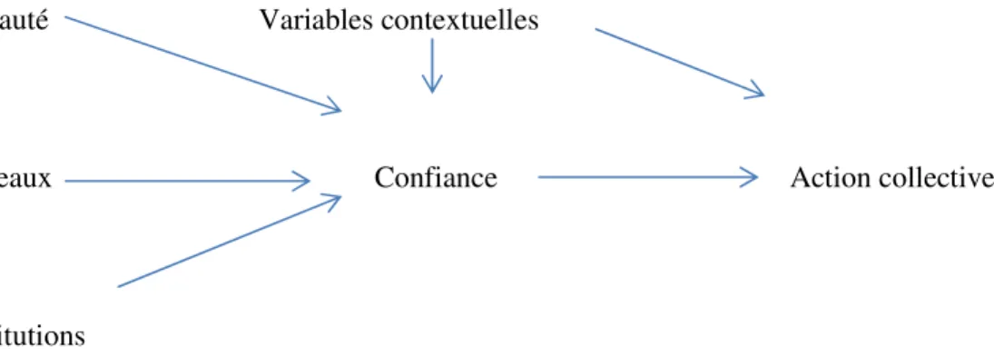 Figure  2.1.  Les  formes  du  capital  social,  la  confiance  et  leurs  relations  pour  réaliser  l’action  collective (Tiré de Ostrom et Ahn, 2003, p.xvii) 
