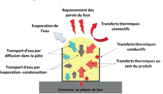 Figure 11 : Schéma des transferts thermiques et des transferts de matière au cours de la cuisson de pain (Nicolas et al., 2014; 