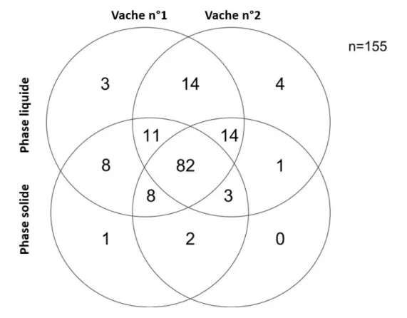 Figure  10  :  Diagramme  de  Venn  montrant  la  distribution  des  différentes  tailles  d'amplicons  détectés  par  l'analyse ARISA dans les phases solides et liquides de la vache n°1 et n°2 (Welkie et al., 2010)