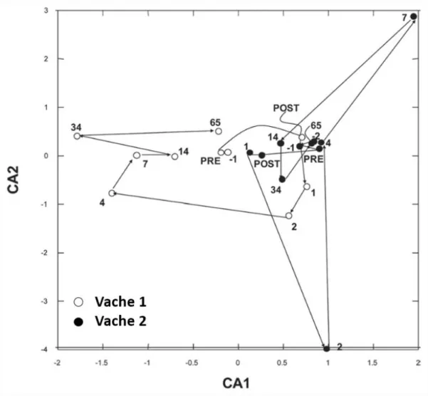 Tableau  16  :  Amplicons  de  différentes  tailles  obtenus  par  ARISA  qui  sont  partagés  ou  non  entre  les  2  vaches  avant et après l'échange des contenus ruminaux