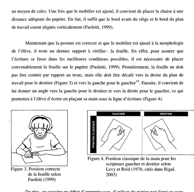 Figure 3. Position correcte Levy et Reid (1976, cites dans Rigal,  de la feuille selon 2003) 