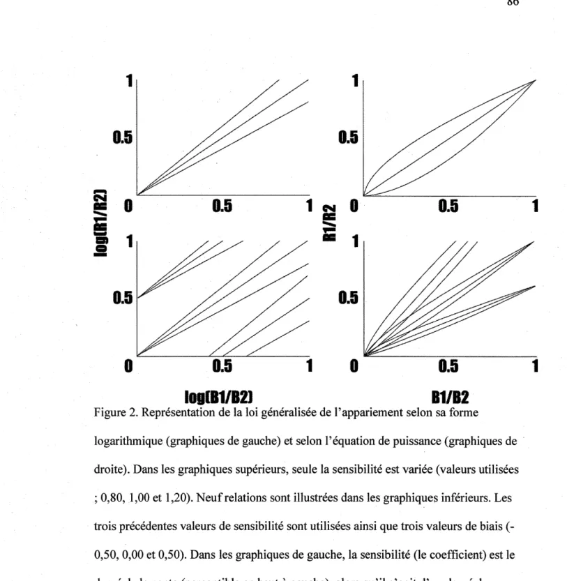 Figure 2.  Représentation de la loi généralisée de l'appariement selon sa forme 