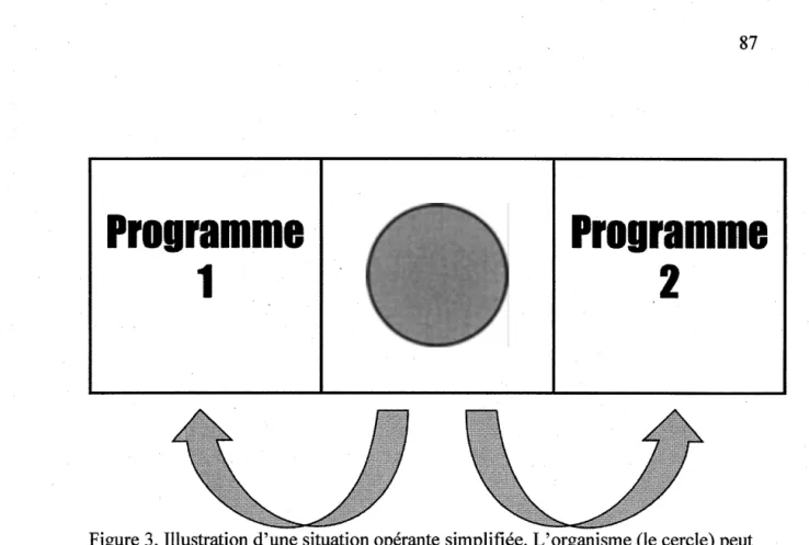 Figure 3. Illustration d'une situation opérante simplifiée. L'organisme (le cercle) peut  émettre deux comportements ( aller  à  droite ou aller  à  gauche)