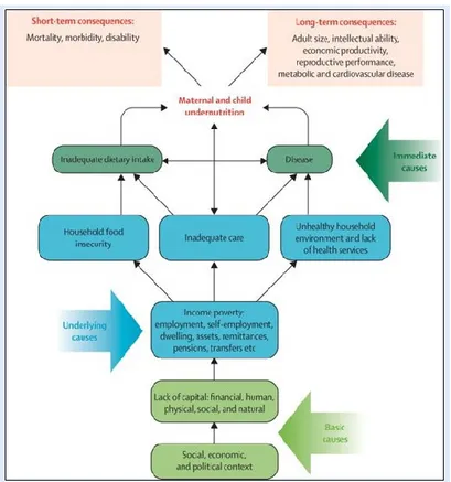 FIGURE 2: CONCEPTUAL FRAMEWORK OF THE CAUSES OF UNDERNUTRITION AND ITS CONSEQUENCES  (FROM BLACK AND AL