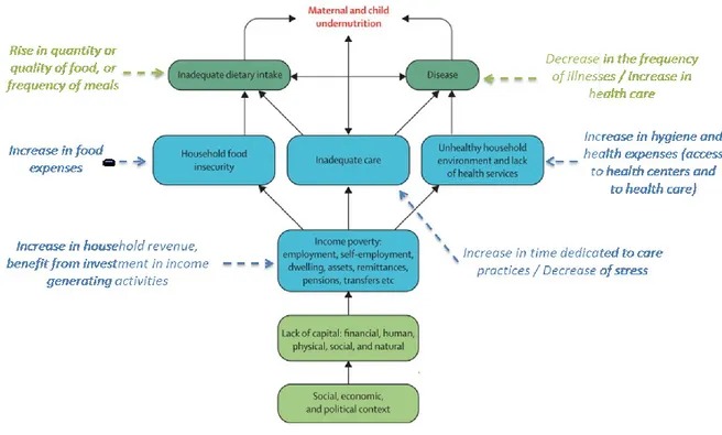 FIGURE 6: PROPOSED EFFECTS OF CASH TRANSFERS ON THE PREVENTION OF CHILD UNDERNUTRITION  Furthermore,  there  is  a  lack  of  evidence  related  to  the  pathways  by  which  cash  transfers  can  improve child nutrition outcomes