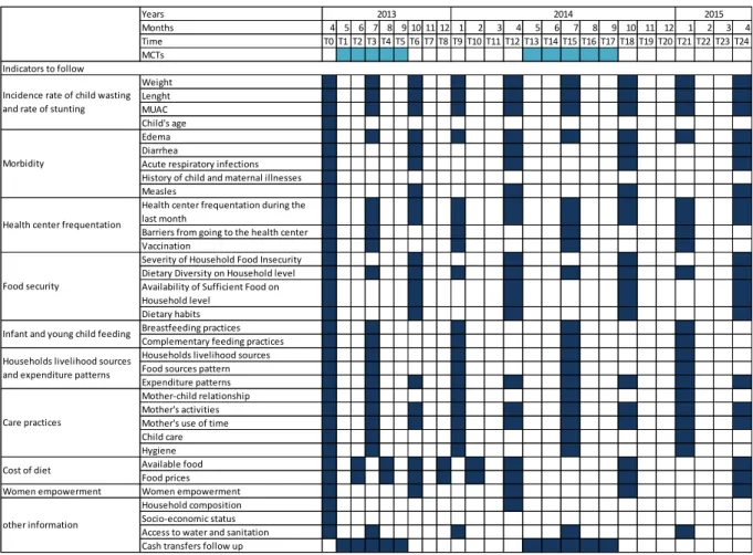 FIGURE 7: INDICATORS AND CHRONOGRAM OF MEASUREMENT AS INITIALLY FORECASTED IN THE  RESEARCH PROTOCOL 