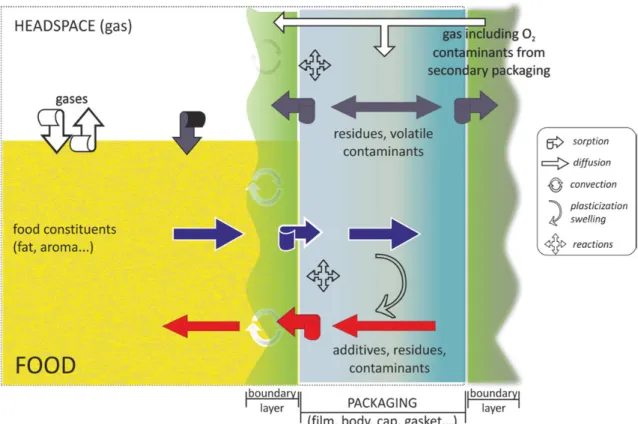 Figure 2-2 Main mass transfer from, to and cross packaging materials (after Rahman (2007),  Vitrac and Hayert (2007a))