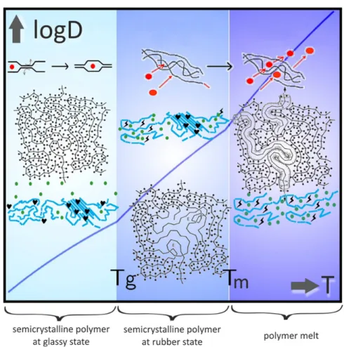 Figure 2-14  Interpretation of the translation of additive-type molecules according to the state  of the polymer