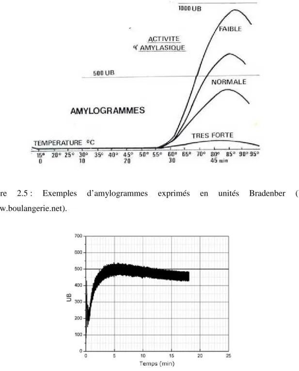 Tableau  2.9 :  Indices  mesurés  à  l’aide  du  farinographe  dans  le  cadre  d’une  utilisation  en  panification française (Roussel, 2005)