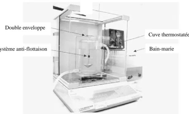 Figure  2.13 :  Détermination  de  la  densité  d’un  échantillon  de  pâte  à  l’aide  d’une  caméra  digitale par la détermination de l’évolution de la surface occupée par l’échantillon (Elmehdi et  al., 2007)