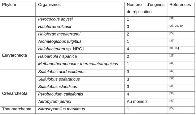 Tableau 2. Tableau représentant le nombre d’origines de réplication chez les archées.  D’après [31]