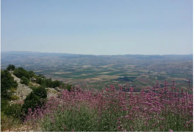 Figure 13: The Chouf as seen from the Chouf mountain– June