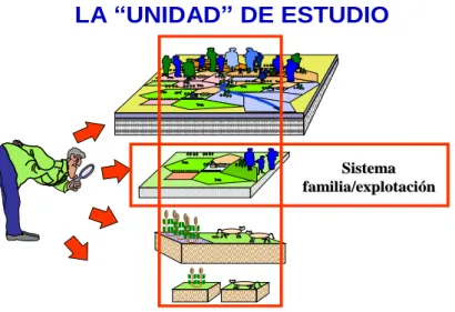 Figure 2 : Le système famille-exploitation 