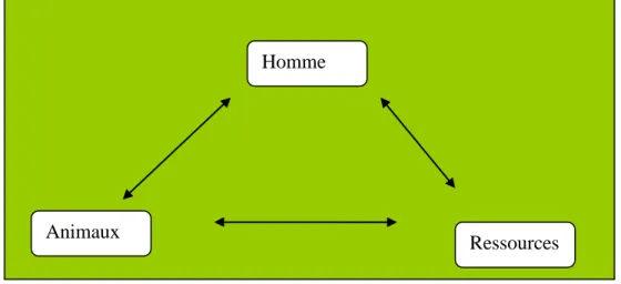 Fig. 3 : Un modèle général pour les systèmes d‟élevage. (Landais 1992 a).  Ce  modèle  indique  que  l‟homme  utilise  les  animaux  pour  mieux  profiter  des  ressources  présentes  dans  le  milieu  et  atteindre  ses  buts