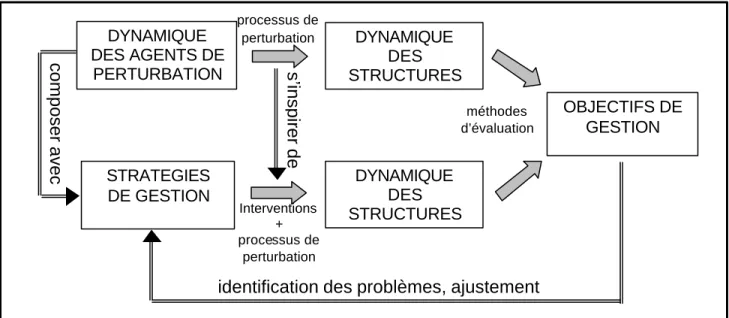 Figure 3: confrontation entre les effets des perturbations naturelles et celles de la gestion 