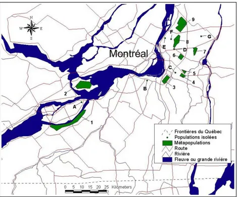 Figure 1.4  Aire de répartition de la rainette faux-grillon de l’ouest en Montérégie.  Tirée de Desroches et Picard, 2004a