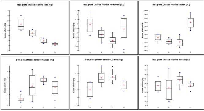 Figure 29 – Boxplots : Évolution des masses relatives des segments corporels (en % de la masse totale) par groupe d’âges ; A : 4-8 ans, B : 9-12 ans, C : 13-17 ans, D : 22-26 ans