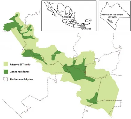 Figure 2.1 Localisation de la réserve de biosphère El Triunfo (modifié de : Fondo de Conservación 