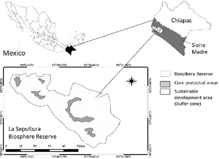 Figure  2.2  Localisation  de  la  réserve  de  biosphère  La  Sepultura  (modifié  de  :  Braasch,  García-