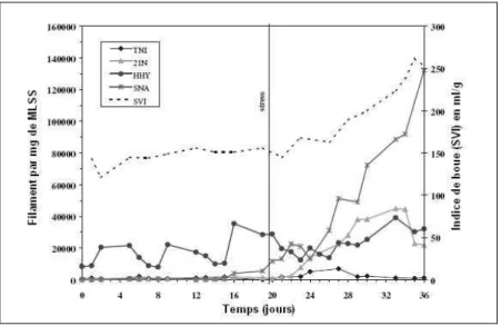 Figure 12 : Effet de l'application d'un stress sur la population filamenteuse d'une boues activées et l'indice  de  boue  (SVI)