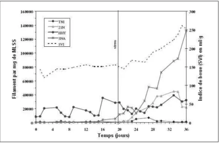 Figure 12 : Effet de l'application d'un stress sur la population filamenteuse d'une boues activées et l'indice  de  boue  (SVI)
