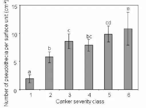 Figure  2.8.  Number  of  L.  maculans  pseudothecia  per  cm²  of  winter  oilseed  rape  stubble  according  to  the  severity  of  canker  (classes  1-6)