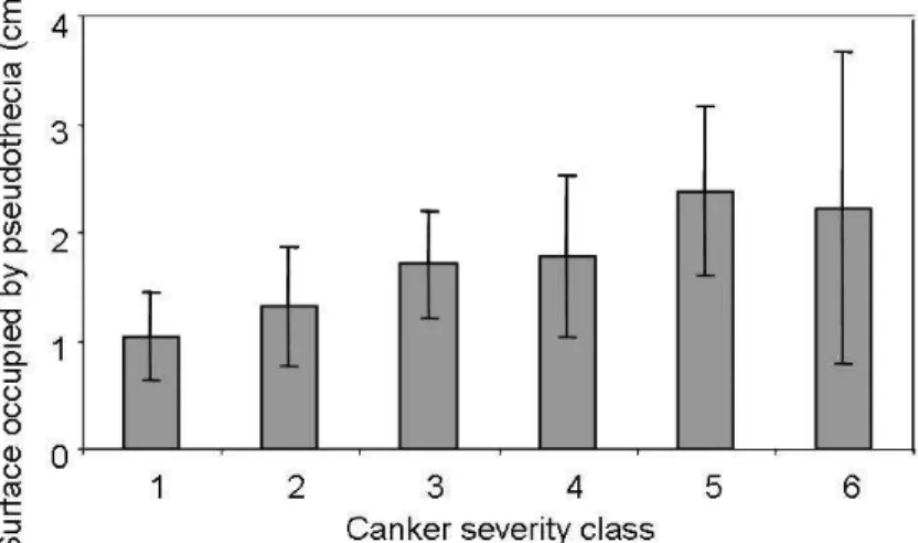 Figure  2.12.  Area  occupied  by  L.  maculans  pseudothecia  (cm²)  depending  on  the  severity  of  canker for 180 residues of winter oilseed rape