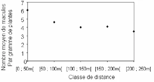 Figure  2.21.  Nombre  moyen  de  macules  par  gramme  de  plantes  et  par  classe  de  distance  à  la  source (chaque point représente la moyenne du nombre de macules pour les bacs situés dans la  classe de distance considérée)