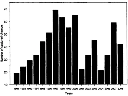 Figure 1.3. Chamois captured in the Parco Naturale Alpi Marittime from 1991 to 2008. 