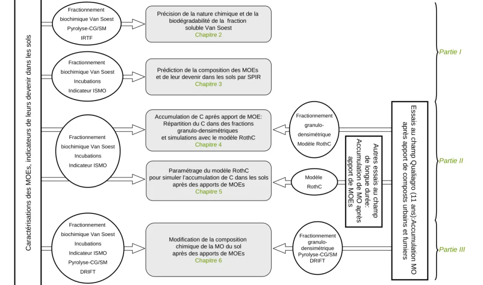 Figure 1.7. Schéma de la démarche générale adoptée pour ce travail de thèse. 