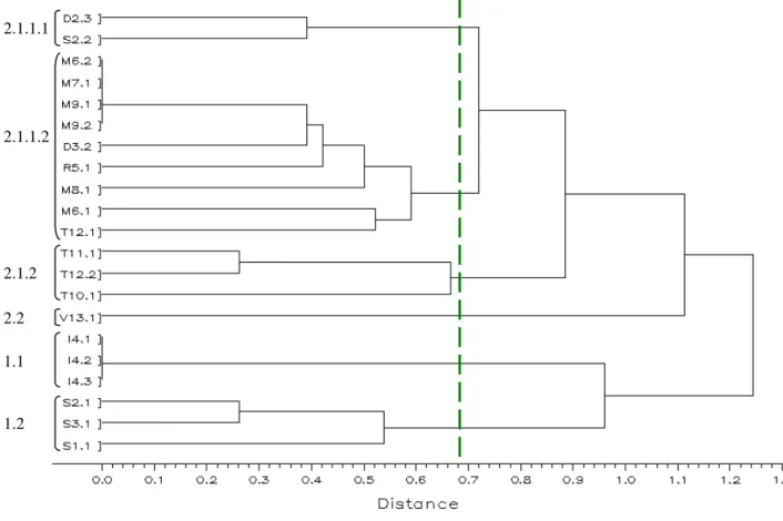 Figure 1.2. Classification automatique des 21 acteurs à partir des objectifs et des critères de jugement des 