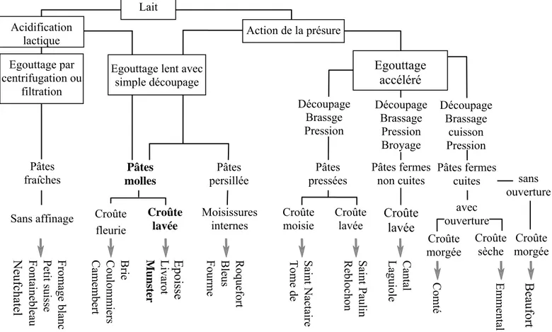 Figure I.1 : La diversité des fabrications fromagères (Lenoir et al., 1985). 