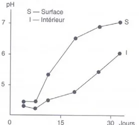 Figure I.3 : évolution du pH au cours de la maturation du Camembert (Lenoir et al., 1985) 