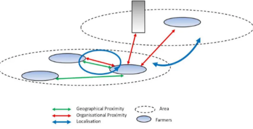Figure 11 Interpretation of the relationships between proximities and localization (Torre, 2005) 
