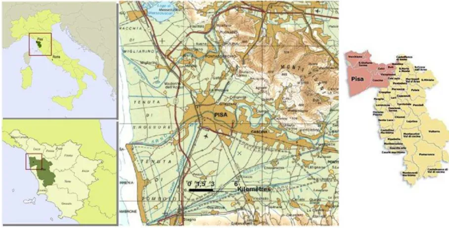 Figure 23 Area Pisana, inside the Pisa’s provincial territory  