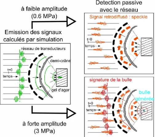 Figure II-4 Schéma de détection et d’enregistrement des émissions acoustiques d’une bulle 