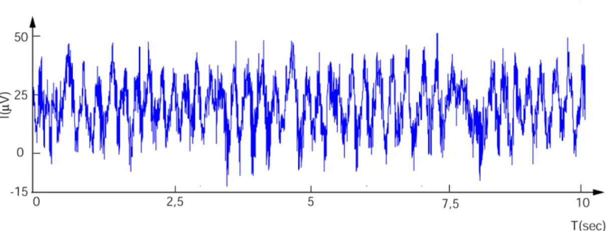 Figure 10 : exemple de signal LFP (ici dans le bulbe olfactif du rat, échantillonné à 2Khz, avec un filtrage  passe-bas à 300 Hz)
