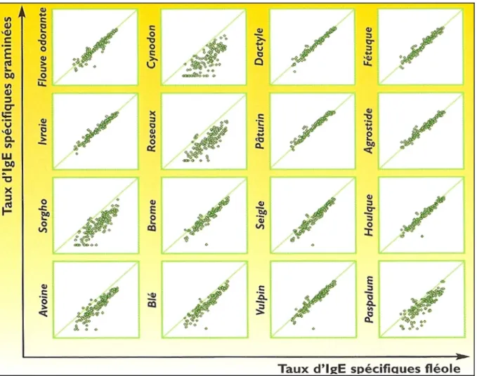 Figure  7 :  Réactivité  croisée  pour  le  pollen  de  16 espèces  de  Graminées  céréalières  et  fourragères  avec le pollen de fléole des prés (ALK-ABELLO 2008b)