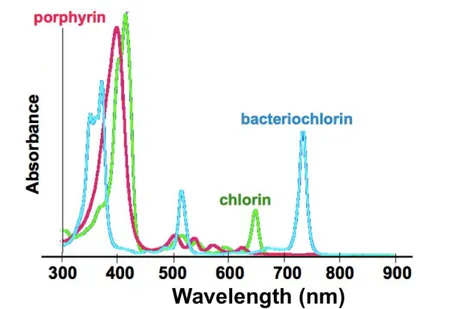 Figure I.11 – Absorbance spectra of porphyrin and chlorine Adapted from http: