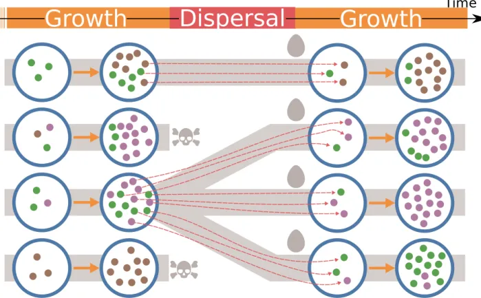 Figure 2.10: The archetypal ecological scaffolding scenario. blue circles: Collectives with well-defined artificial boundaries (e.g., tubes or millifluidic compartments), small discs: Particles (e.g., bacteria)