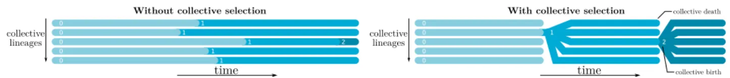 Figure 3.21: Phenotypes. There are K + 1 possible phenotypes. A j-collective switch to the next phenotype j + 1 with rate p j .